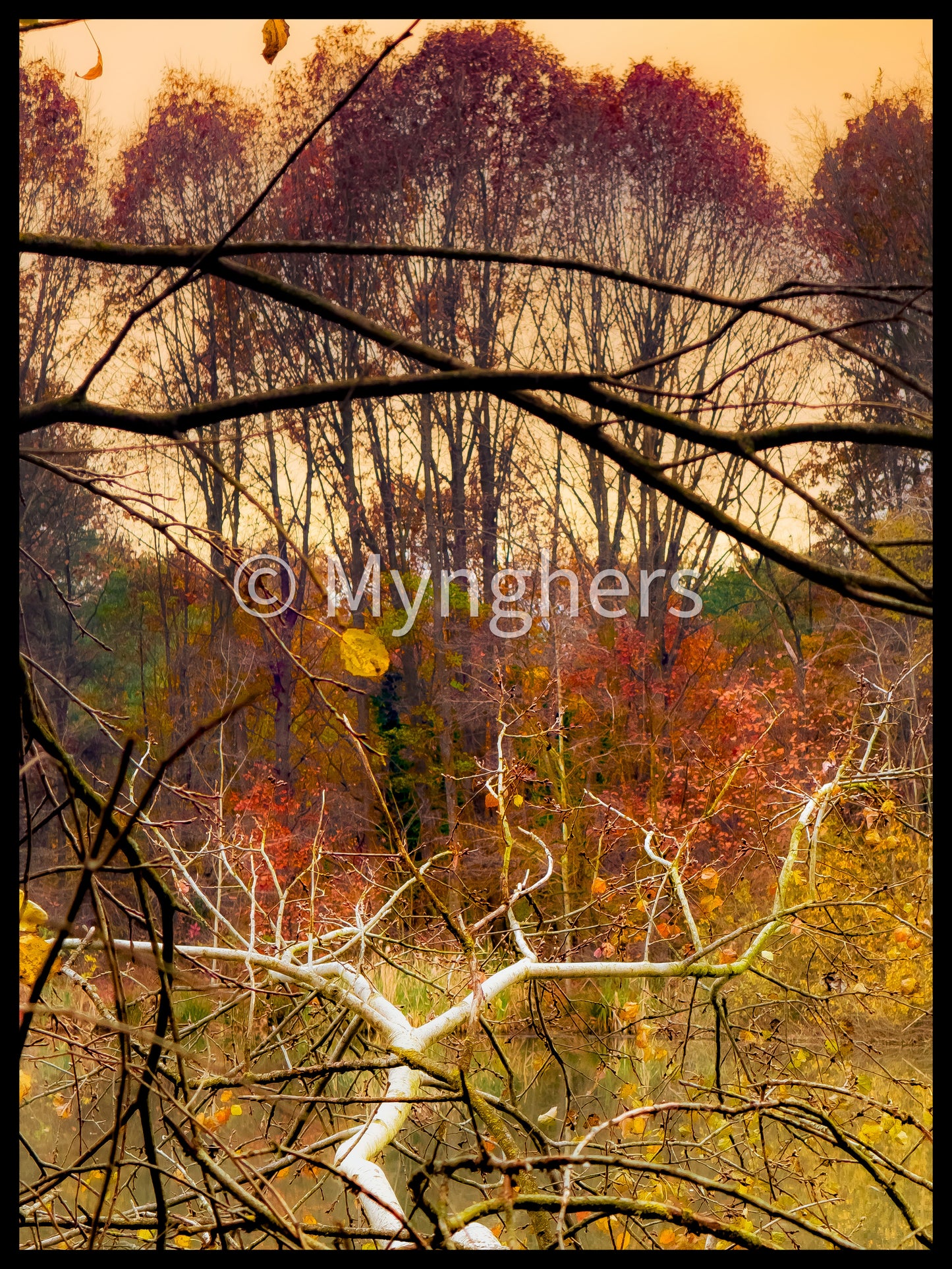 “Respiri D’Autunno” - Edizione Limitata