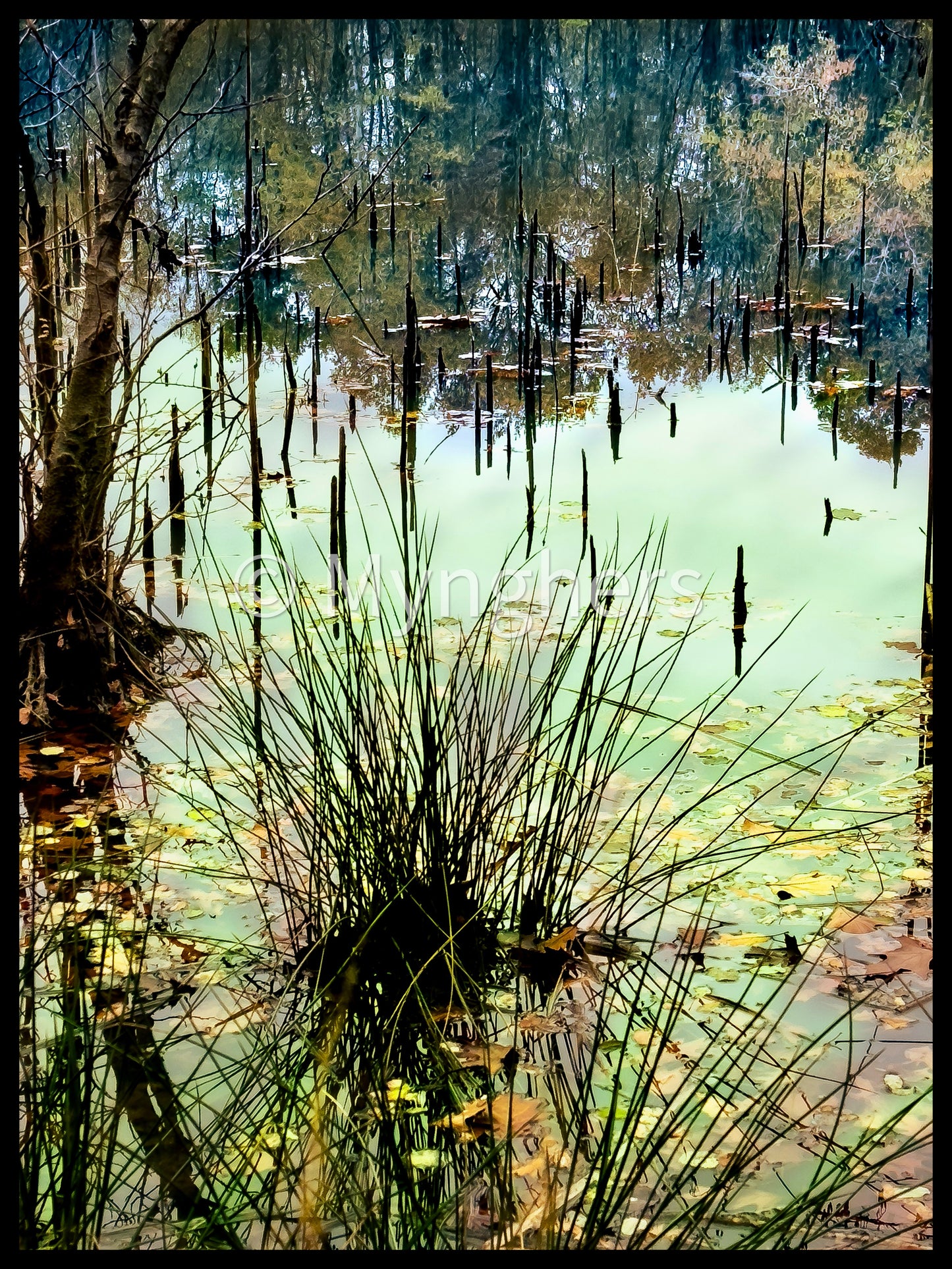 “Specchio di Verde” - Edizione Limitata