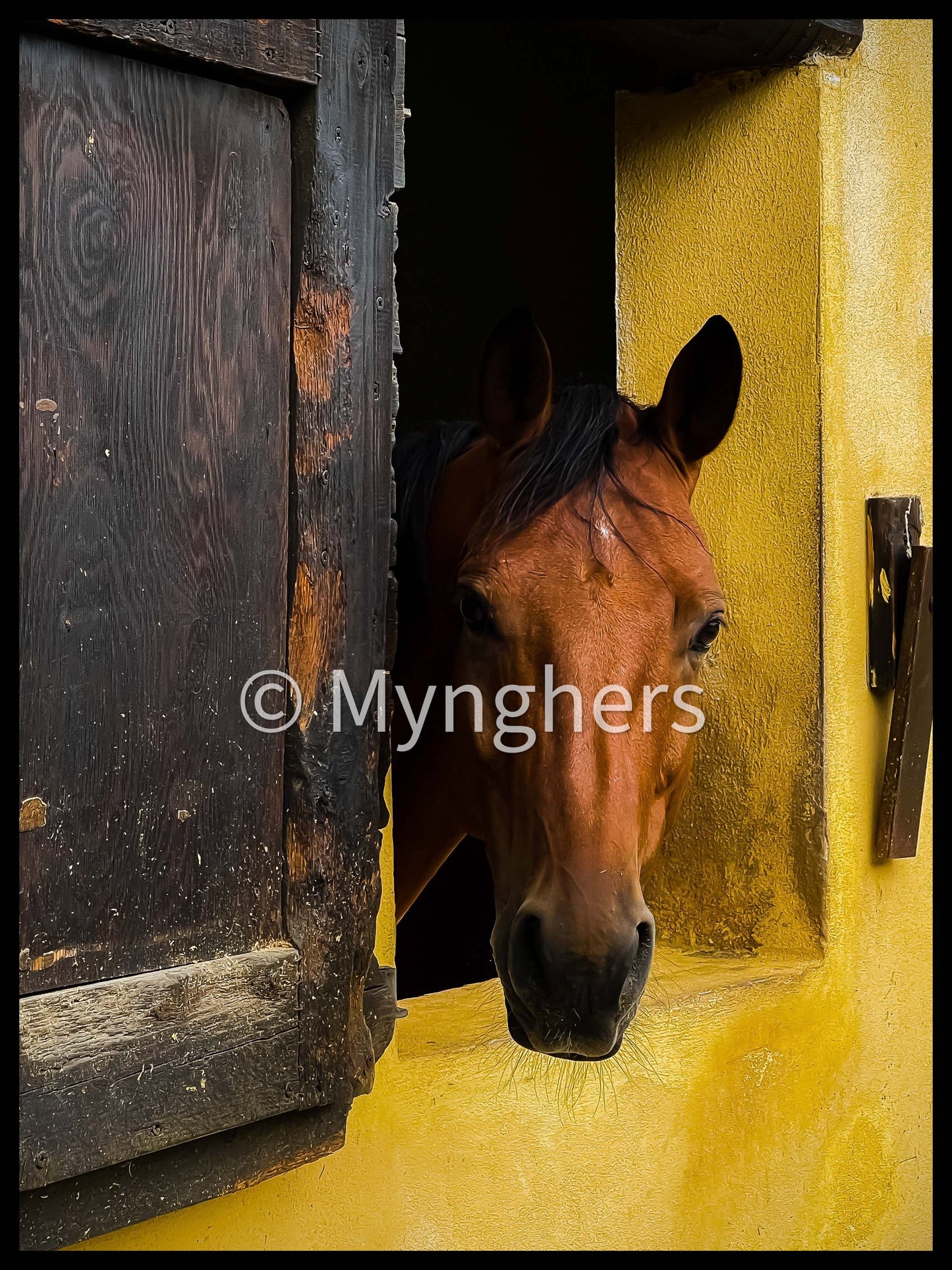 The Farm Keeper