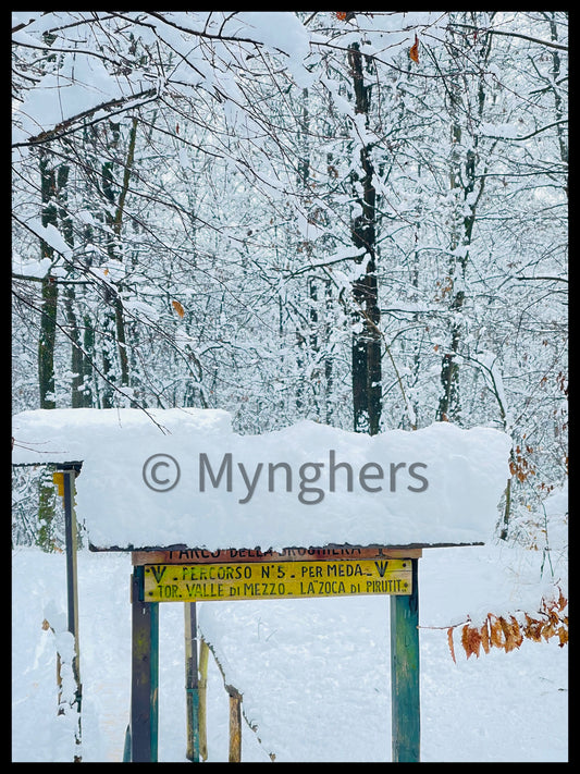 Polvere di Neve