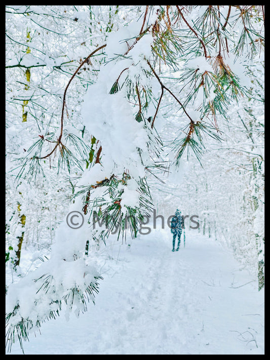 “Nevicate Lente” - Edizione Limitata