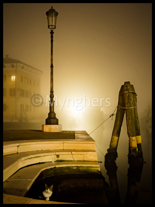 Fog and Streetlights