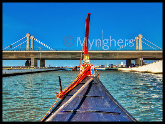 Suspended between Sky and Water